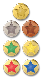 S12 - Metal & enamel badge Star