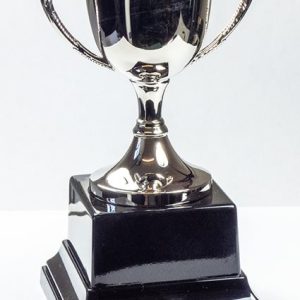 SCUPS - Small cup with Achievement Award