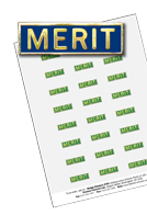 STS1 - Pack of 120, S1 style Merit Stickers