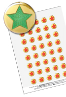 STS12 - Pack of 120, S12 style Star Stickers