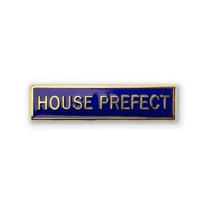 S4 - HOUSE PREFECT in Blue