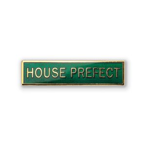 S4 - HOUSE PREFECT in Green