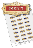 STS8 - Pack of 120, S8 style Merit Stickers