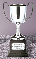 SCUPL - Large cup with Achievement Award