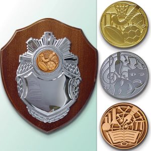 SSHIELDM - Shield + Achievement Award
